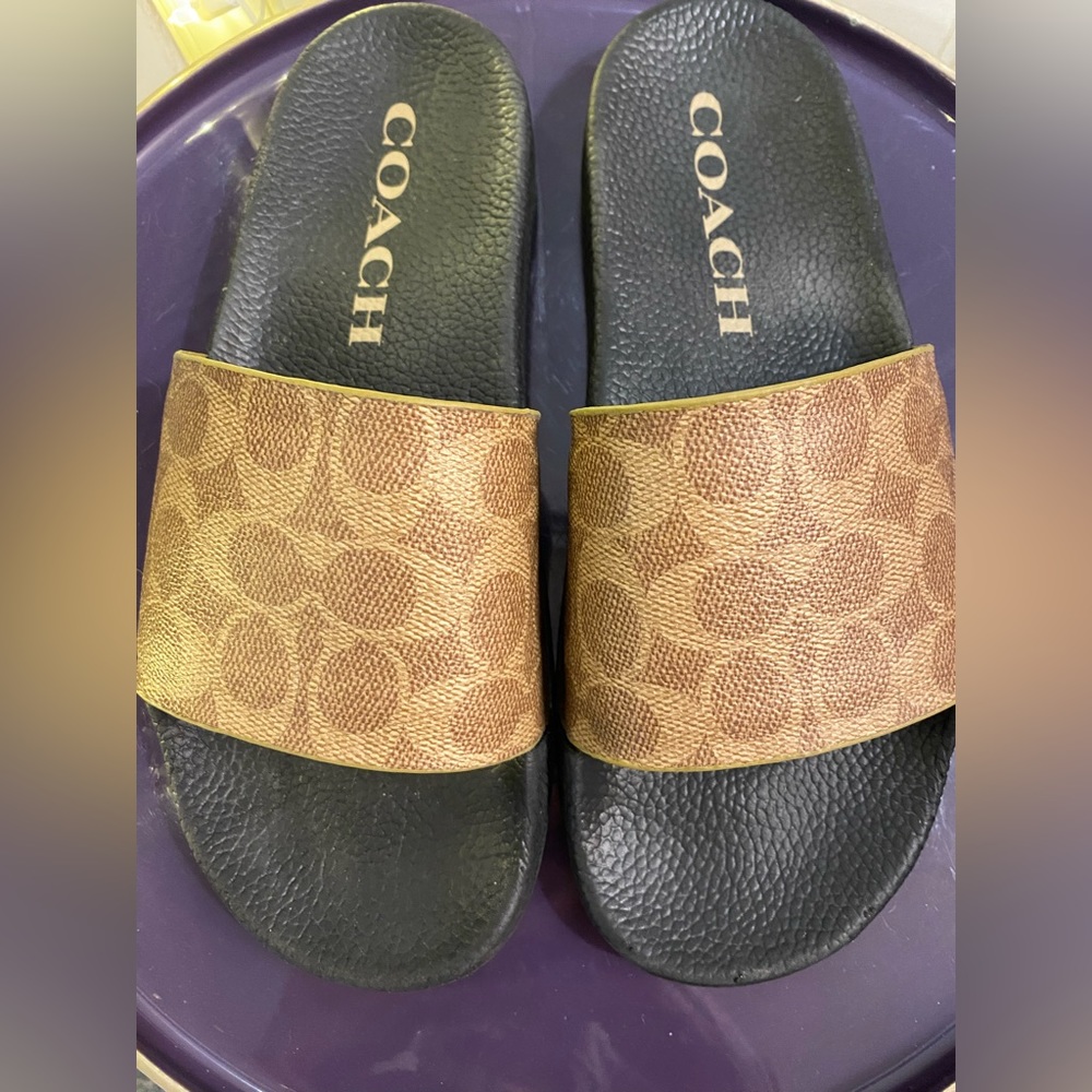 Coach slides